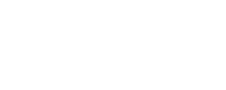 WordPress Agency